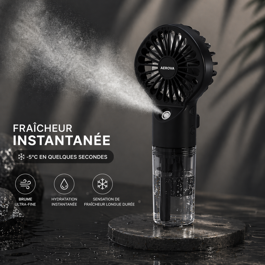 Ventilateur Aerova Noir