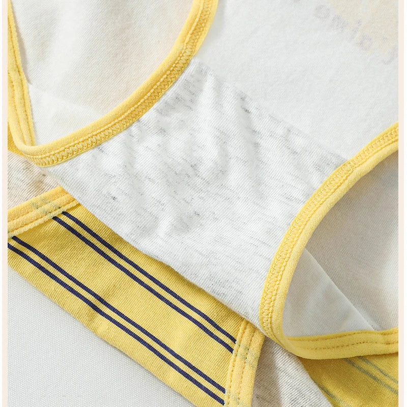 Culotte Taille Haute en Coton | Lot de 4
