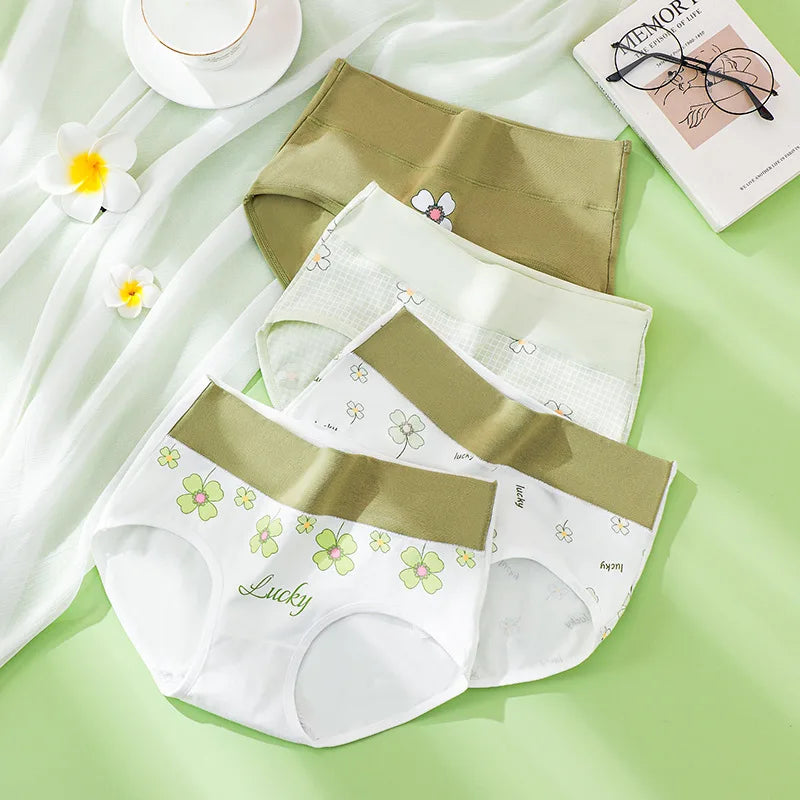 Culotte Taille Haute en Coton | Lot de 4