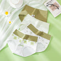 Culotte Taille Haute en Coton | Lot de 4