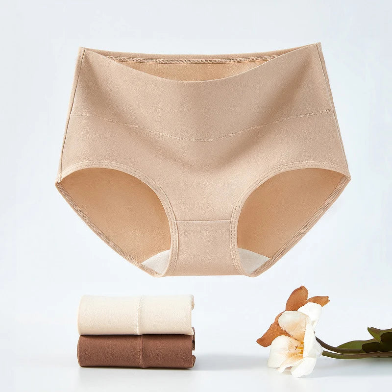 Culotte Taille Haute en Coton | Lot de 3